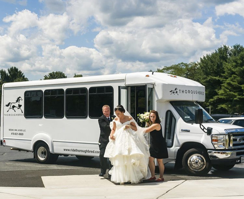 Thoroughbred Sedan, Van & Bus LLC
